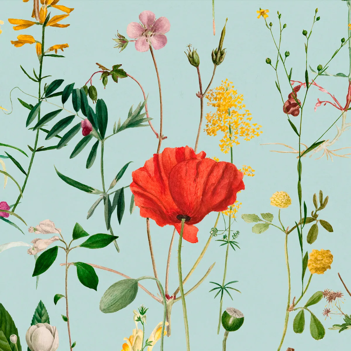 Aquafleur Flower Wallpaper