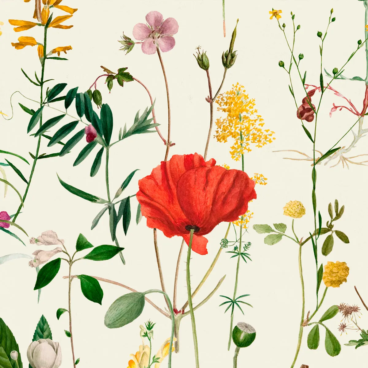 Aquafleur Flower Wallpaper