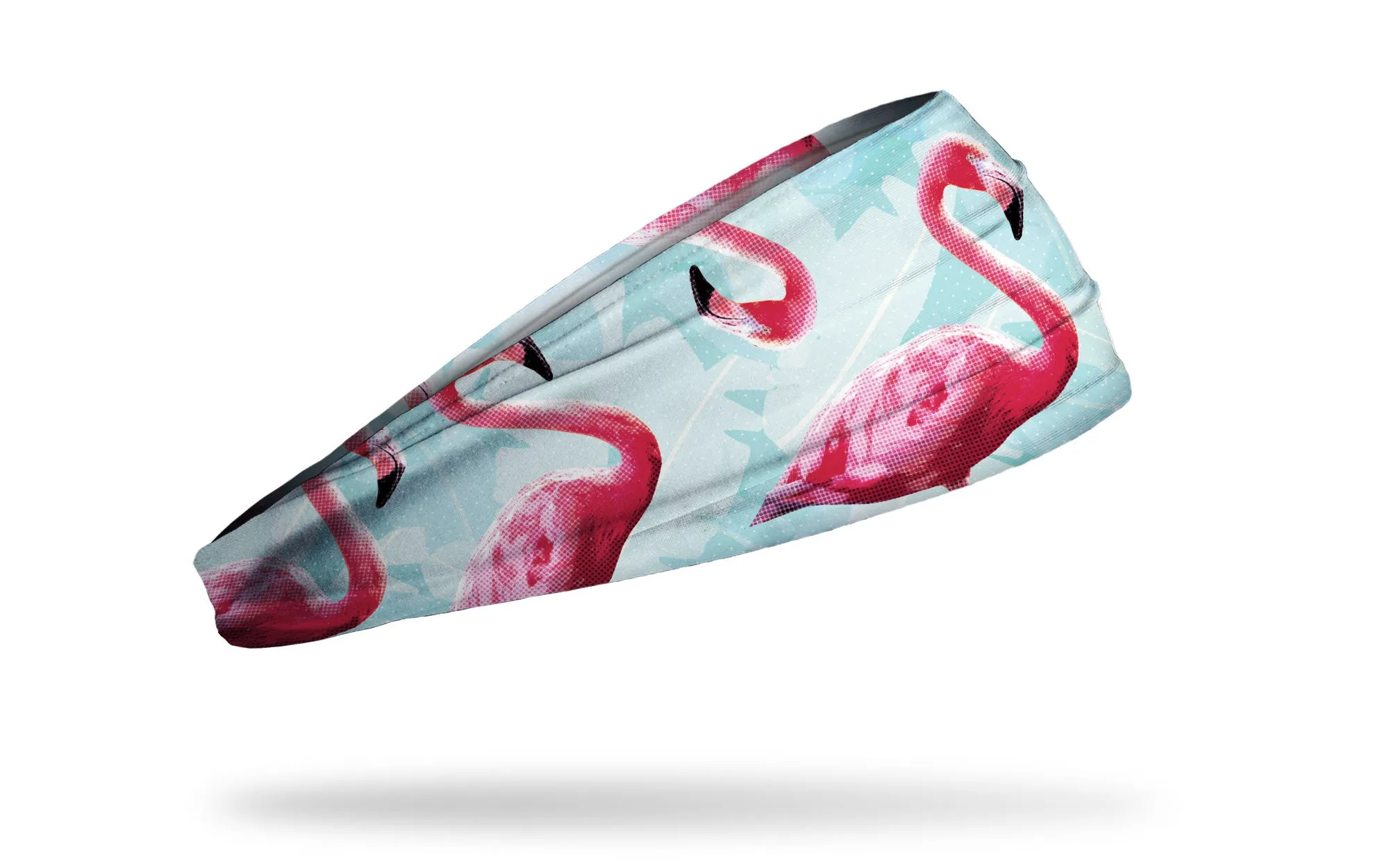 Bird of Paradise Headband