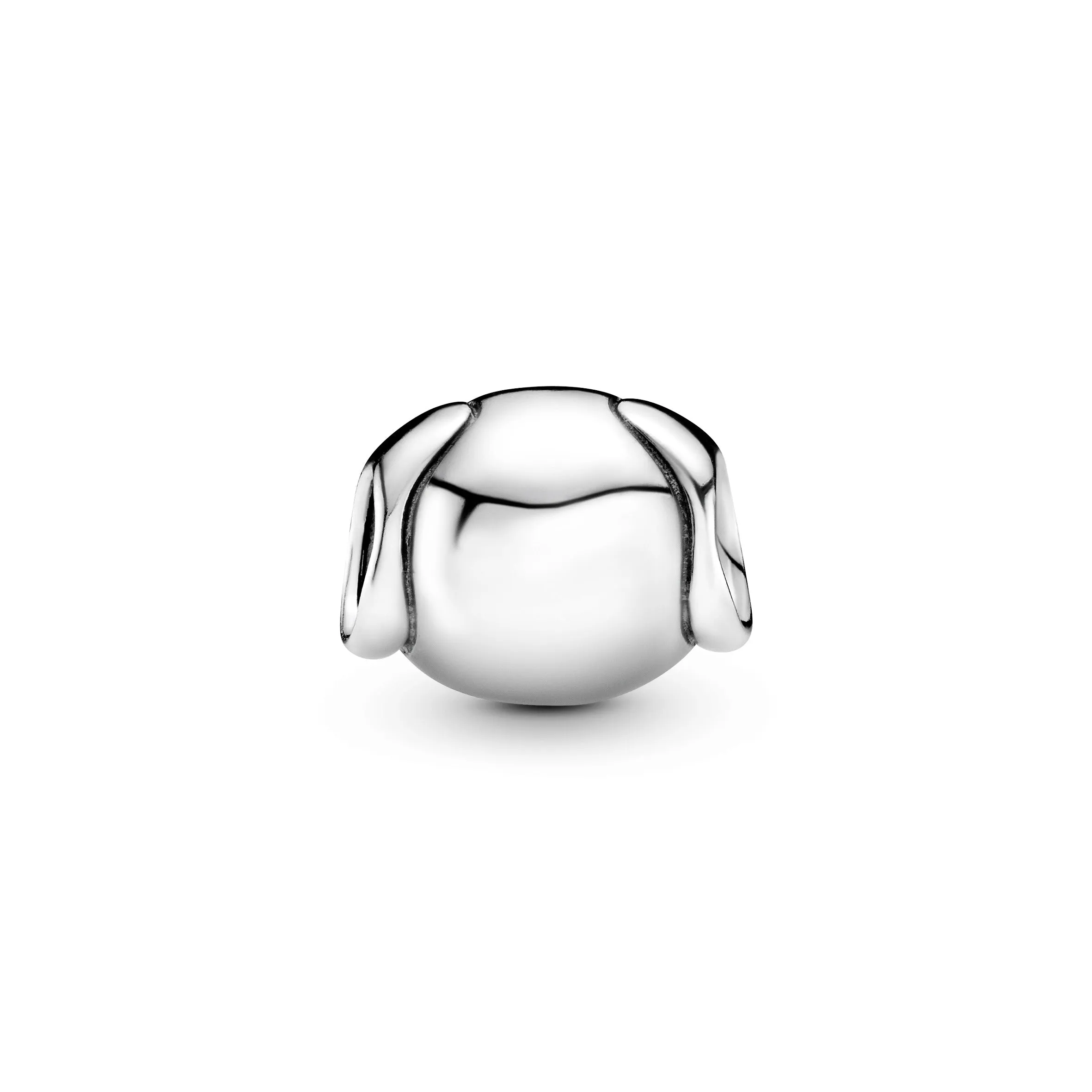 Dog silver charm