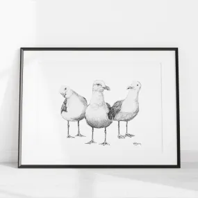 Funny Seagulls  - illustration