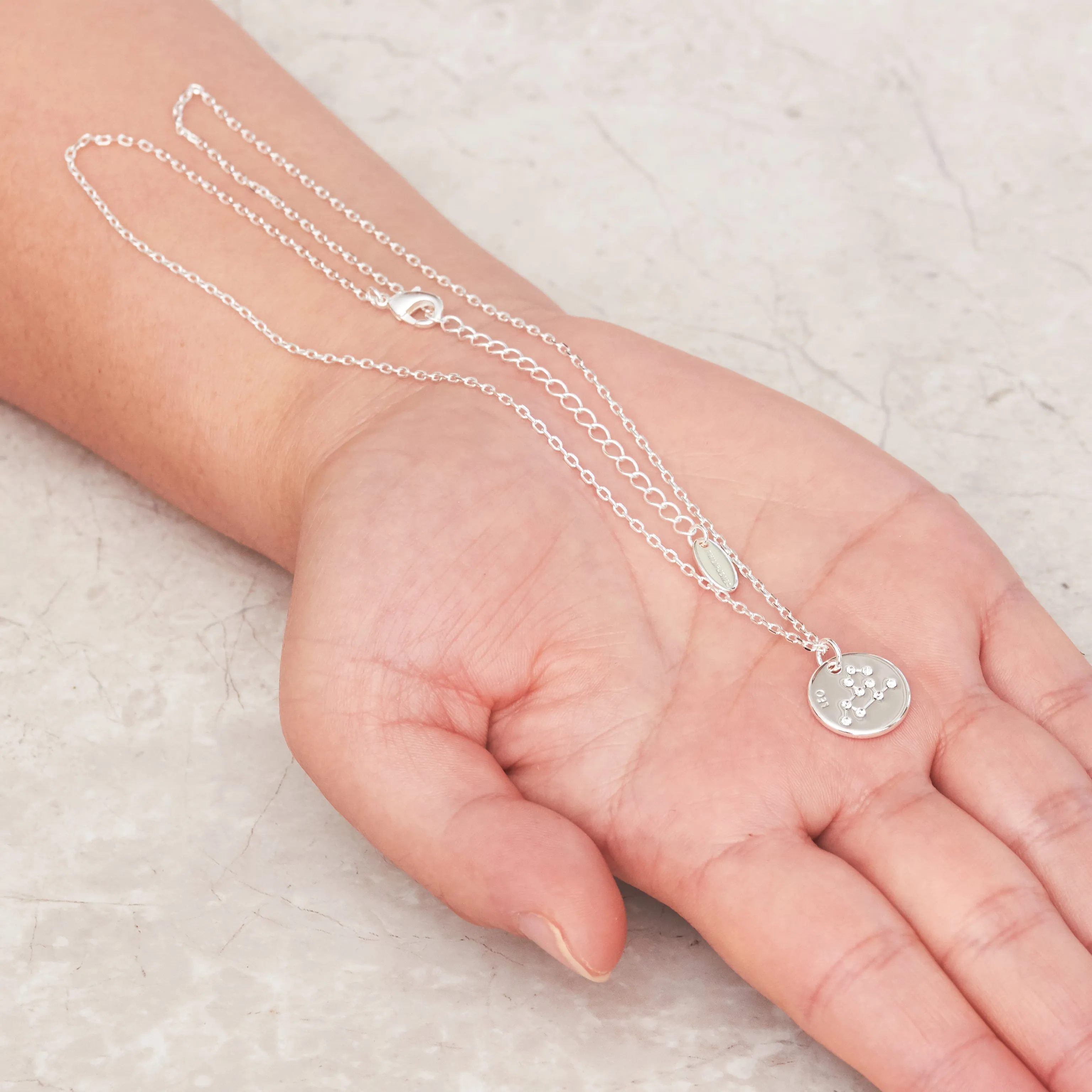 Leo Zodiac Star Sign Disc Necklace Created with Zircondia® Crystals