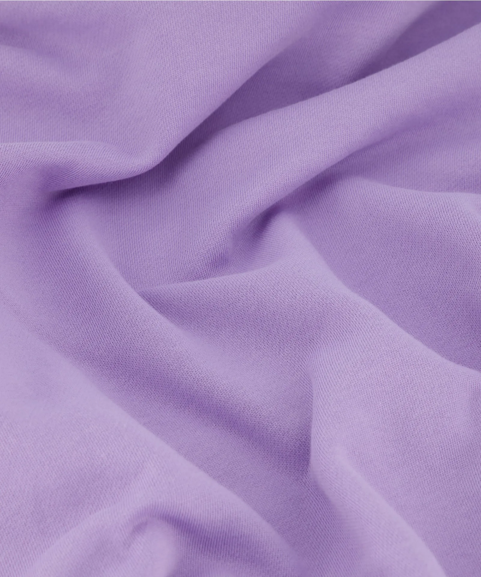 Louis Sweatpants - Purple